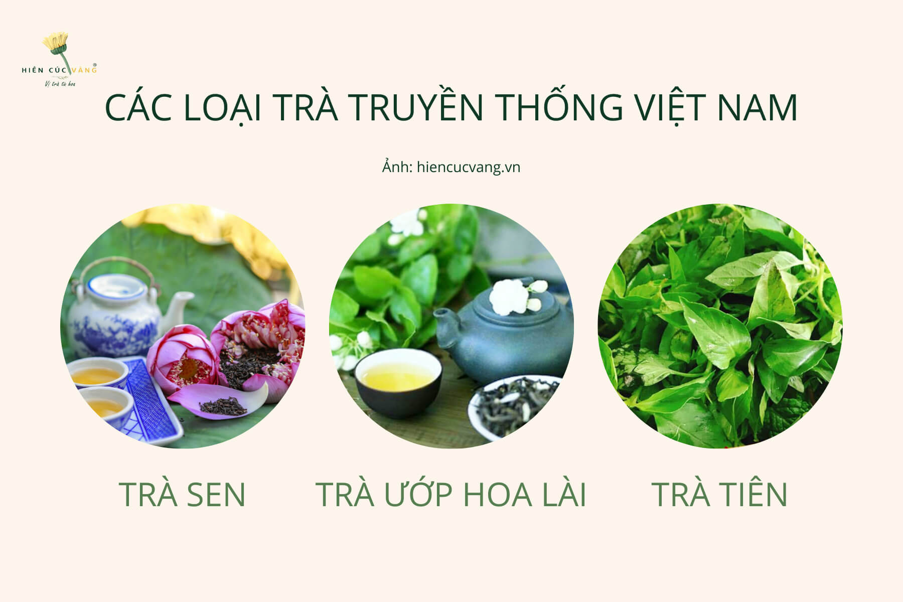 Các loại trà truyền thống ở Việt Nam