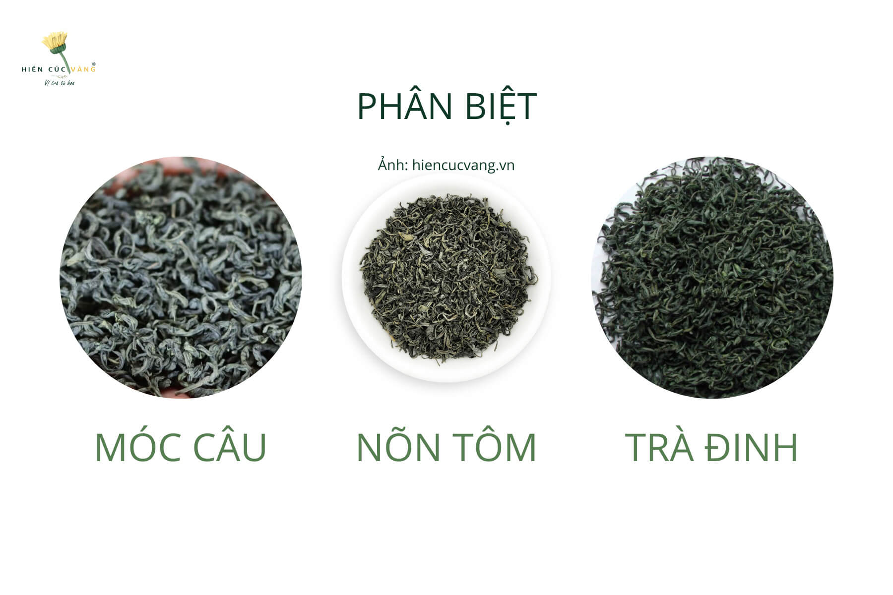 Các loại trà xanh Thái Nguyên